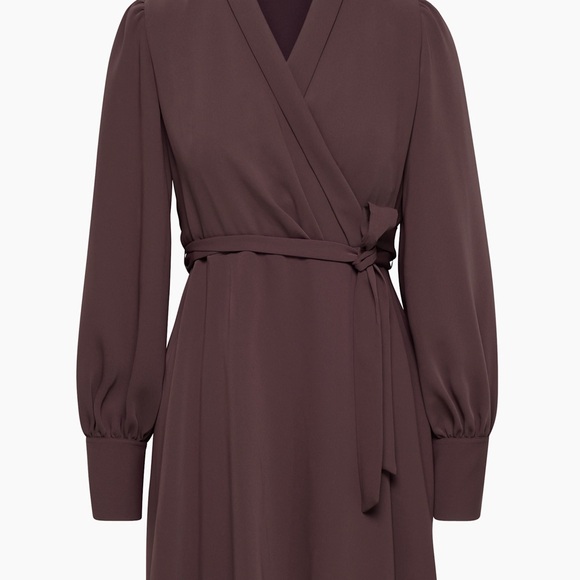 Aritzia Dresses & Skirts - Aritzia Hyde Mini Dress in Deep Currant
